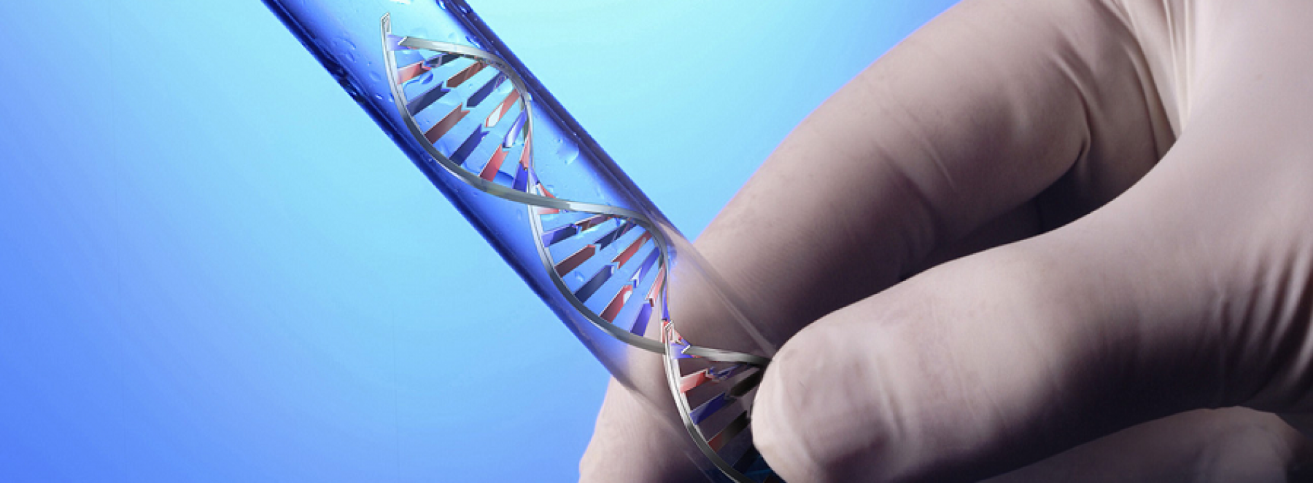 Genetic testing; the process involved in it