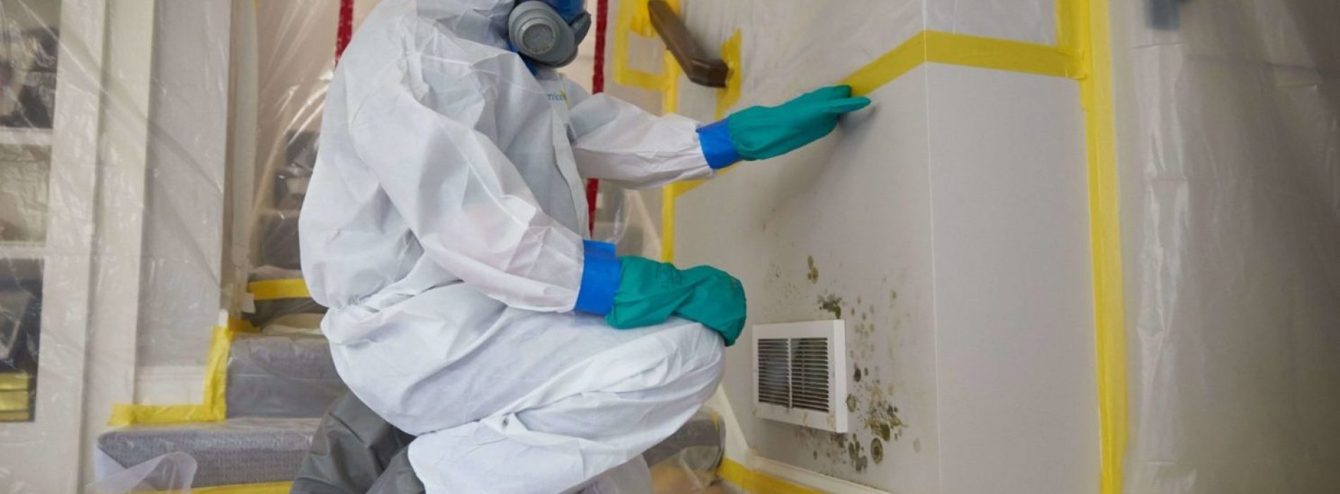 Mold Remediation Certification – Exploring a Career in Mold Remediation